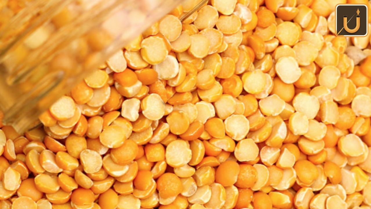 Usthadian Academy/ India Implements Duty-Free Import Of Yellow Peas To Regulate Pulse Prices | 11 dec 2023 Usthadian Academy/ India Implements Duty-Free Import Of Yellow Peas To Regulate Pulse Prices